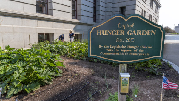 Vogel, Kinkead Highlight Impacts of Capitol Hunger Garden as It Concludes Its 13th Season