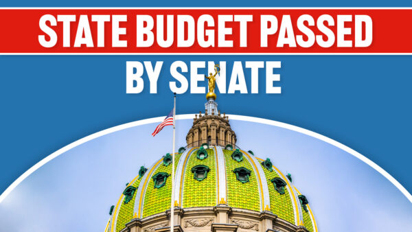 Vogel: Senate-Led Spending Plan Focuses on Immediate Critical Service Funding