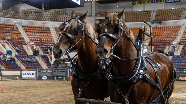 E-news Updates – January 11, 2026