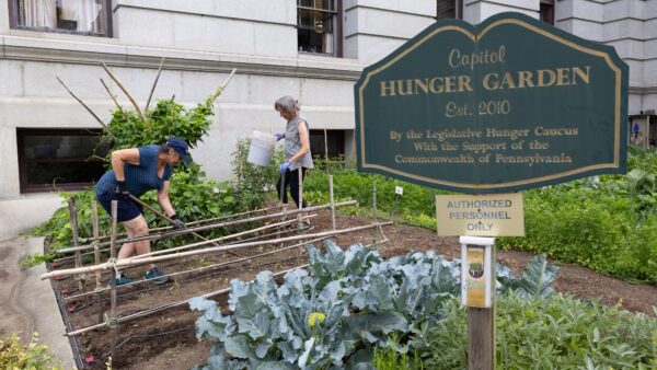 Vogel, Kinkead Celebrate the 16th Season of the Capitol Hunger Garden