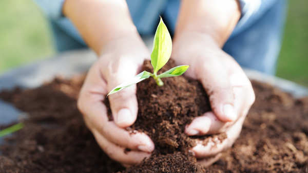 Vogel Announces Agriculture Innovation Grants